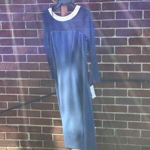 Beautiful blue with silver rhinestone around the neck, sheer sleeves size 4P